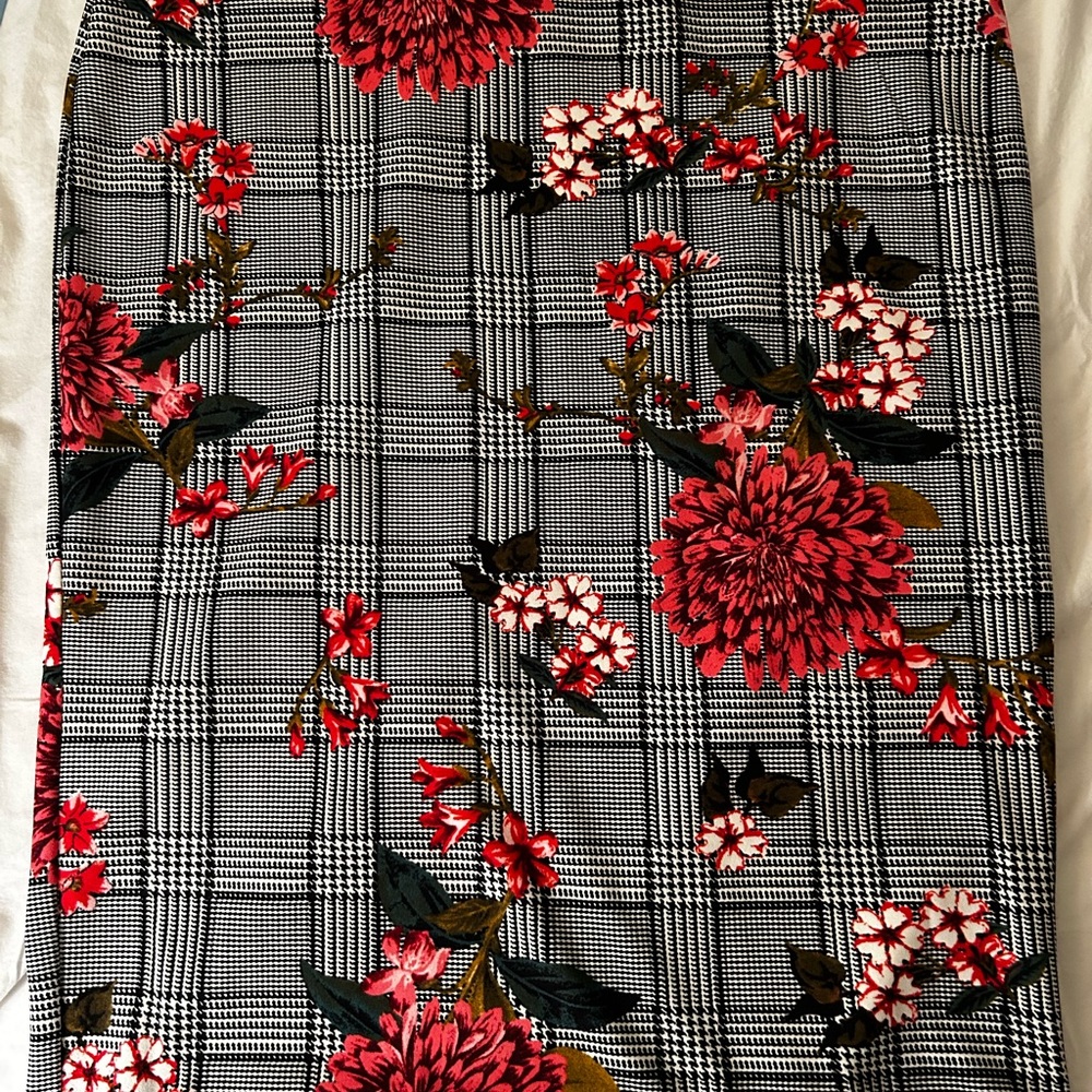 New with out tags… never worn. Jules & Leopold Skirt